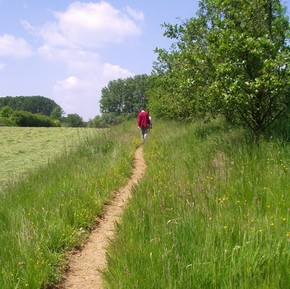 Oser un autre chemin